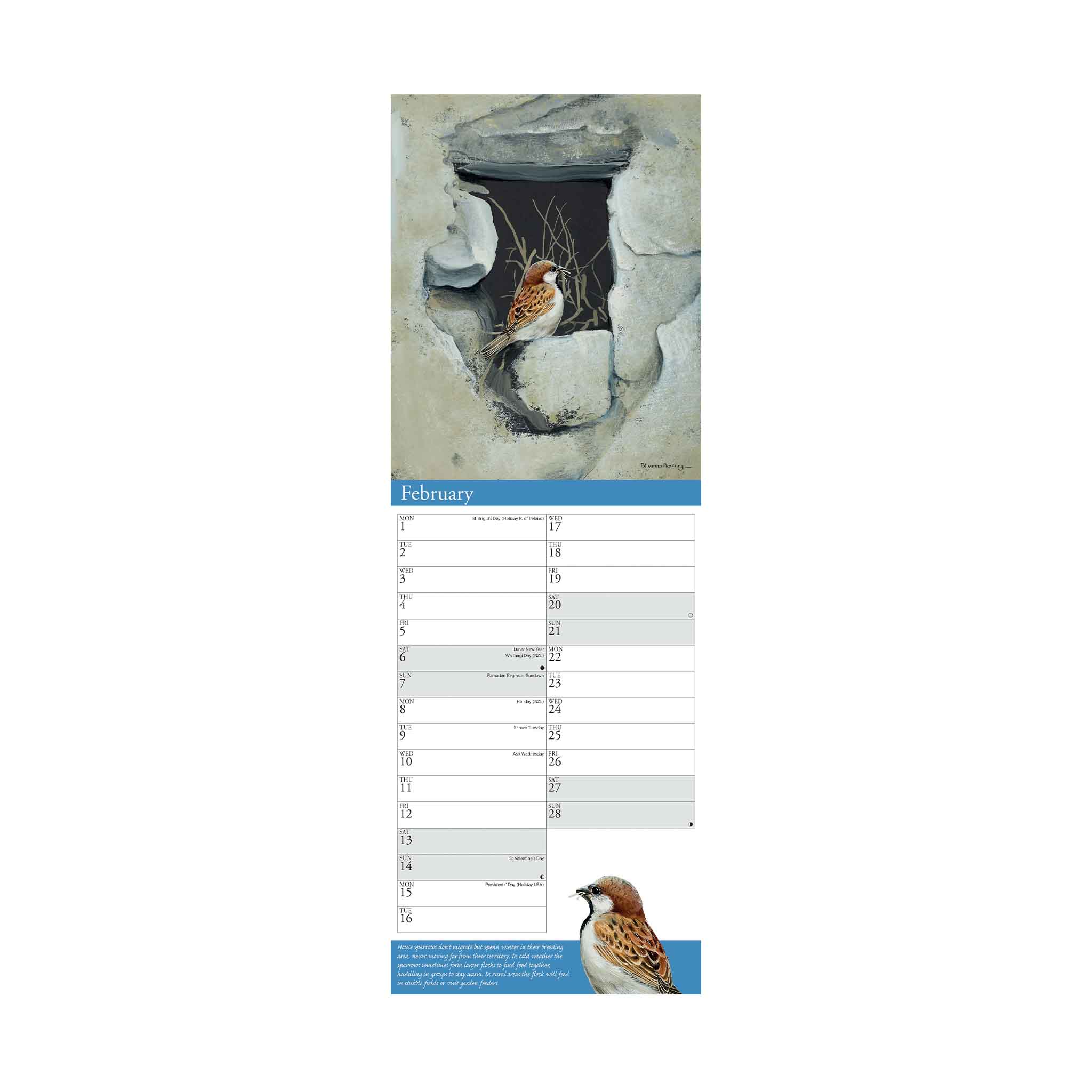 2027 Garden Birds Slim Calendar - Image 2