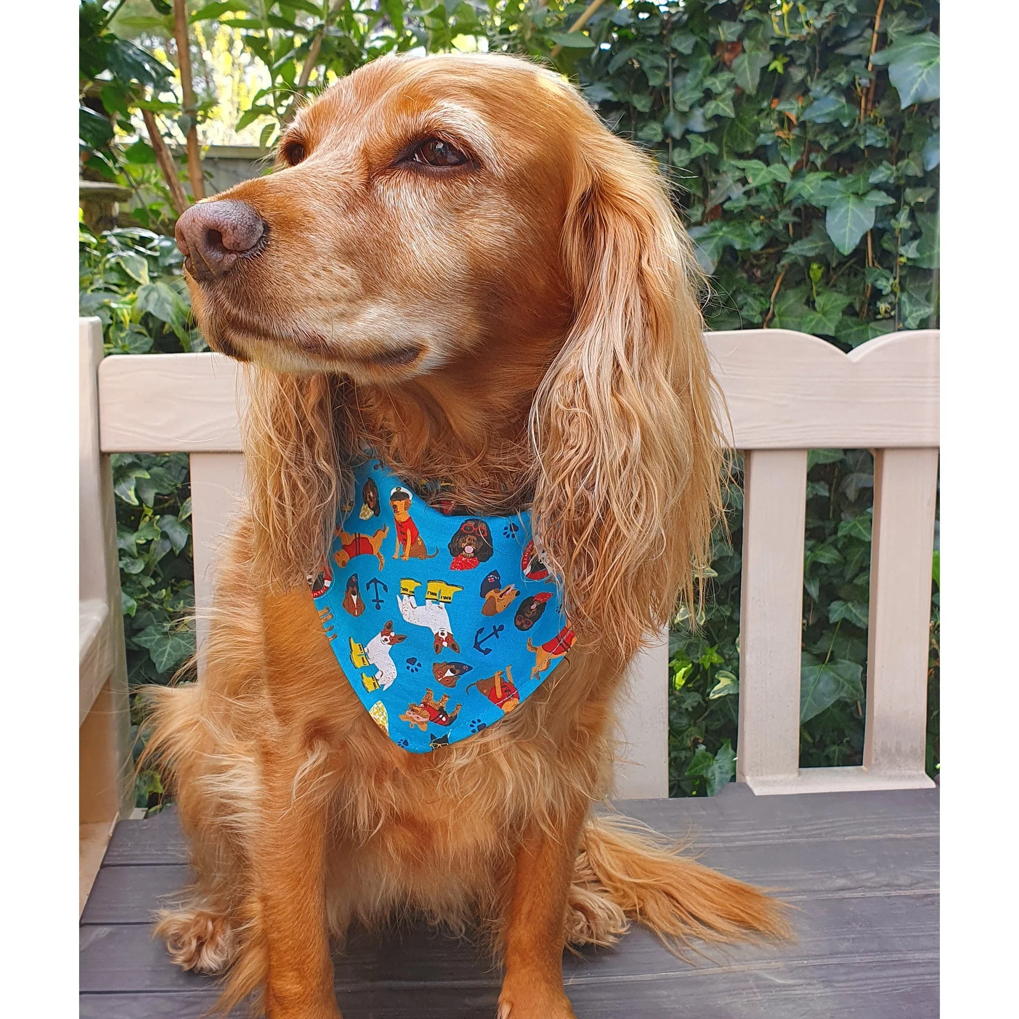 Dog Print Bandana - Image 3