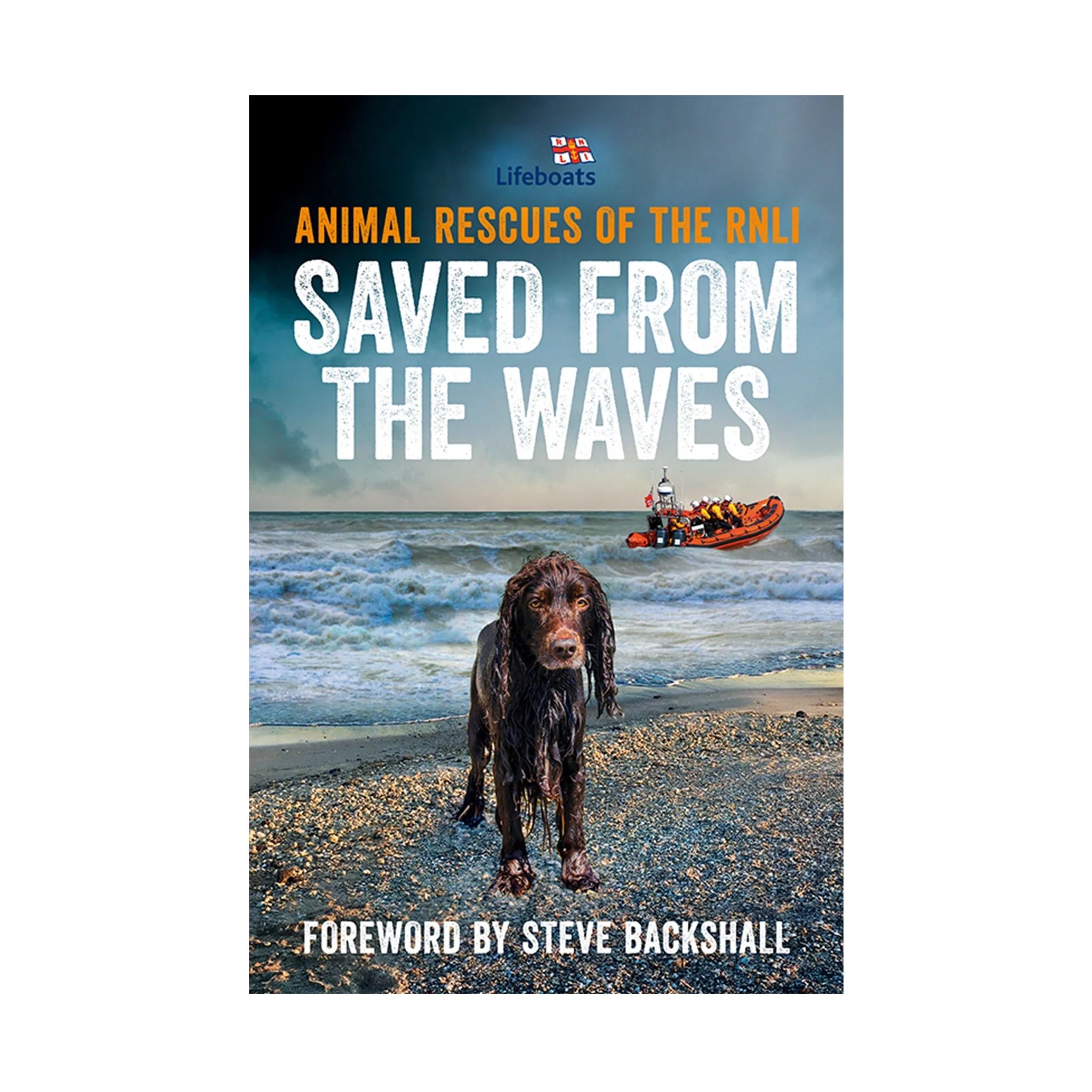 Saved from the Waves: Animal Rescues of the RNLI