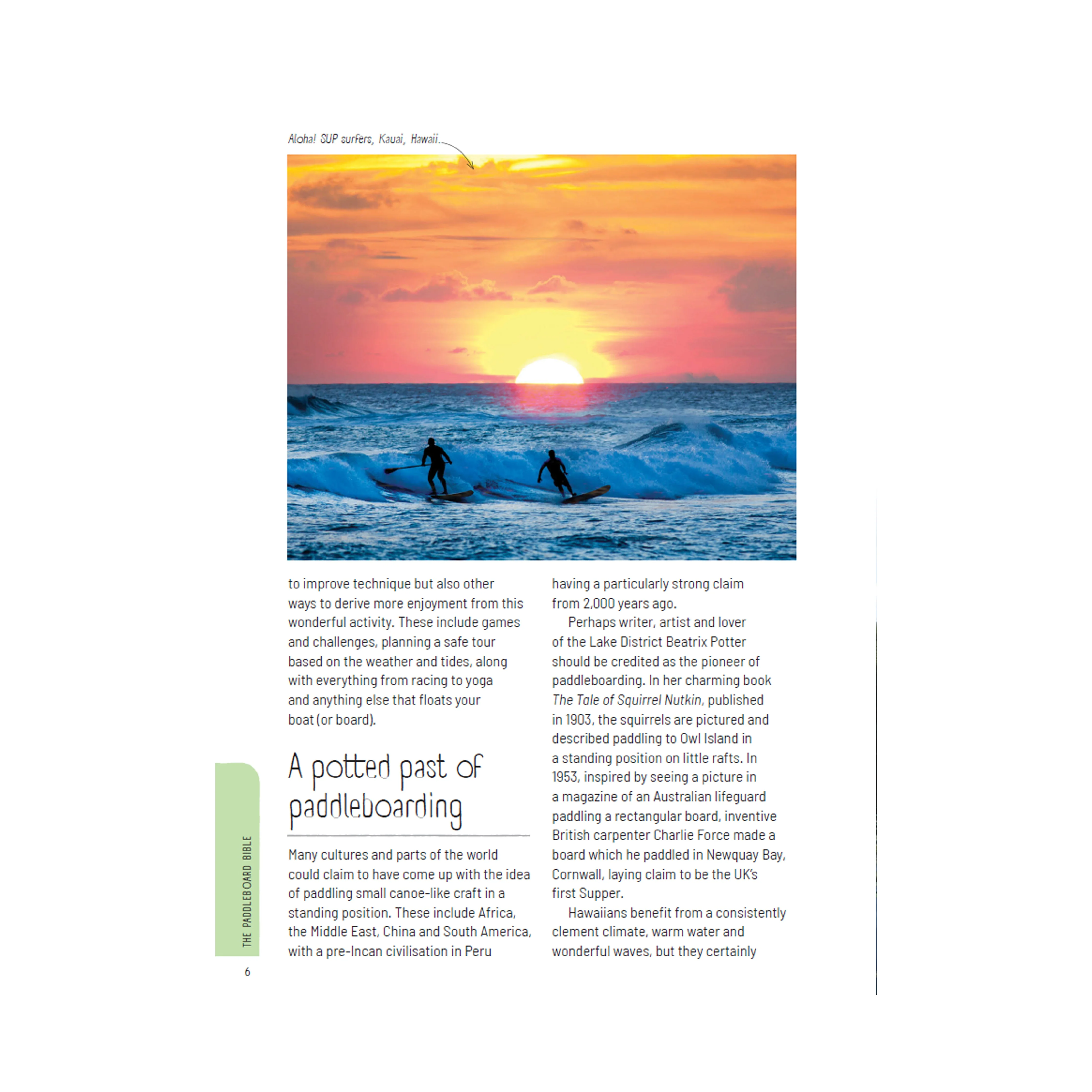The Paddleboard Bible: The Complete Guide to Stand-Up Paddleboarding - Image 4